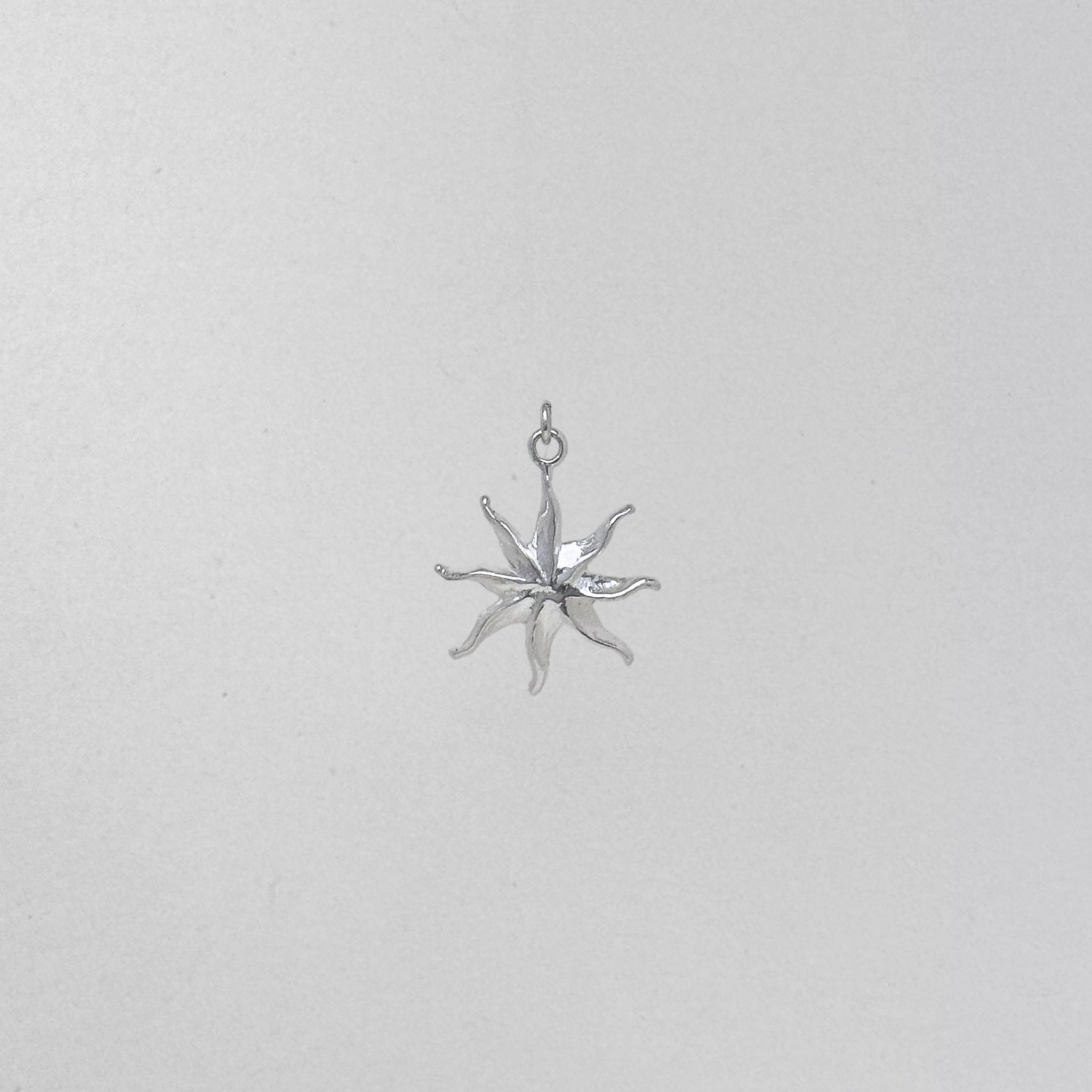 Sun Charm